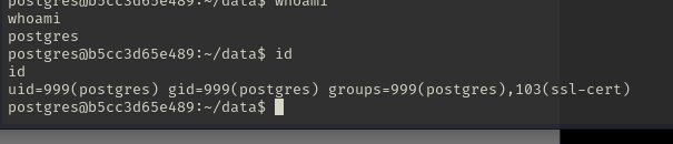 A shell on the database container running as the postgres user