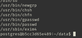 A setuid binary listing on the database container ending in /usr/sbin/exim4