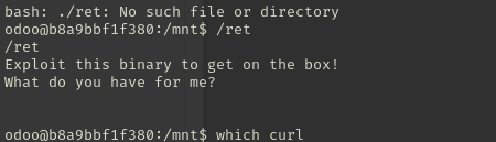 Running /ret, which prints "Exploit this binary to get on the box! What do you have for me?"