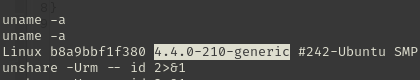 uname -a showing kernel 4.4.0-210-generic